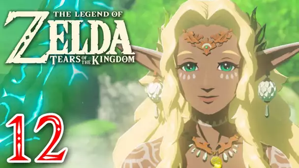 Zelda Tears of the Kingdom #12 | Sonia, reine d'Hyrule
