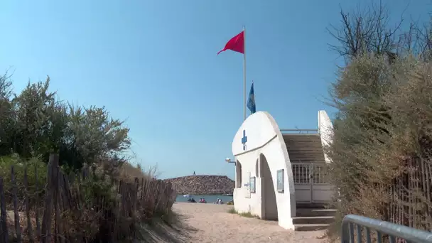 Hérault : baignade interdite à La Grande-Motte suite à une pollution marine