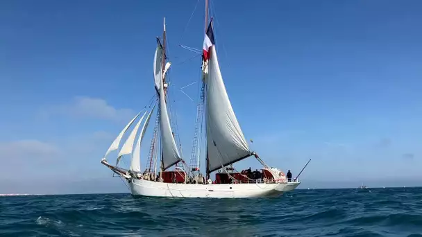 Escale à Sète 2024 : découvrez la Belle poule, navire école de la Marine nationale française