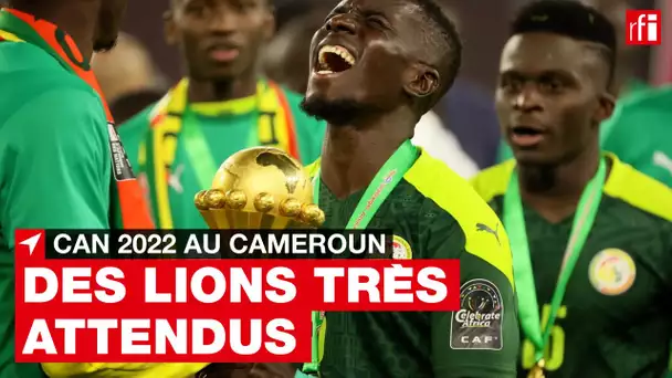 CAN 2022 - Lions de la Teranga : après la victoire, un accueil mouvementé • RFI