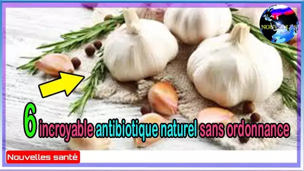 6 incroyable antibiotique naturel sans ordonnance