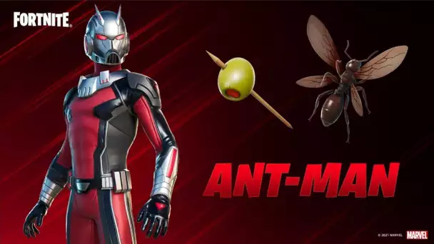 LE DERNIER CHASSEUR EST ARRIVE SUR L'ILE ... ANT-MAN ! (FORTNITE PACK ANT-MAN)
