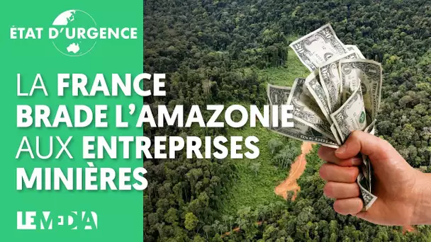 LA FRANCE BRADE L'AMAZONIE AUX ENTREPRISES MINIÈRES