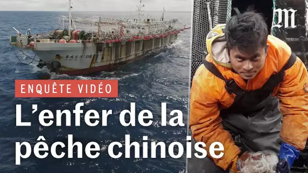 Enquête dans l’enfer des bateaux de pêche chinois de haute mer