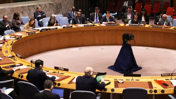 Ukraine : la Russie prend la présidence du Conseil de sécurité de l'ONU, qu'est-ce que cela change ?