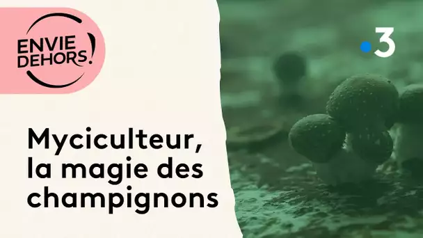 Myciculteur : les secrets d’un magicien du champignon