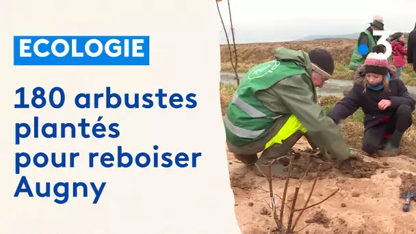 Ecologie : 180 arbustes plantés par des écoliers pour reboiser Augny