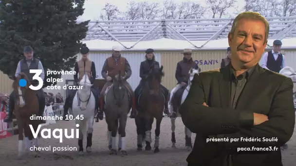 VAQUI à Cheval Passion, 35° édition à Avignon