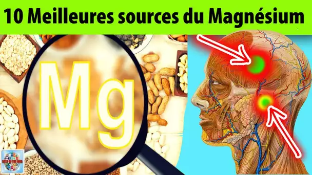 10 Aliments riches en magnésium à consommer tous les jours