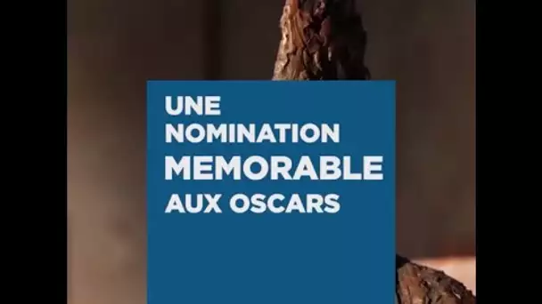 Bruno Collet, une nomination Mémorable aux Oscars