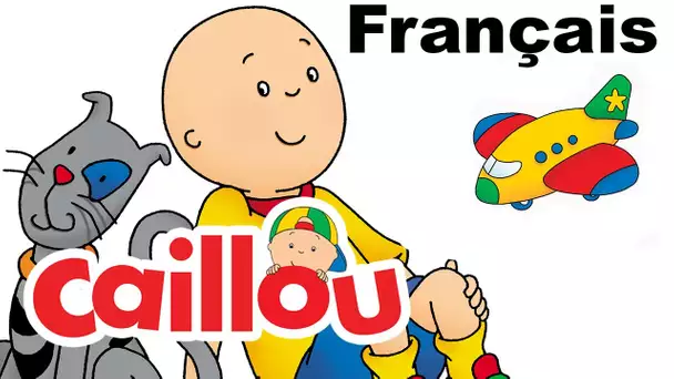 Caillou FRANÇAIS: Série 1, Partie 3 | conte pour enfant | Caillou en Français