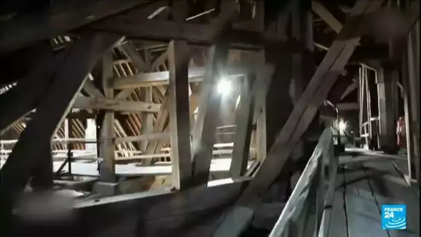France : les scieries s'activent pour la reconstruction de la cathédrale Notre-Dame de Paris