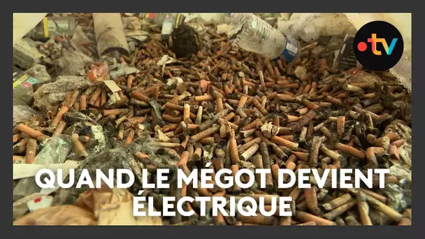 Recyclage : des mégots transformés pour fournir de l'électricité