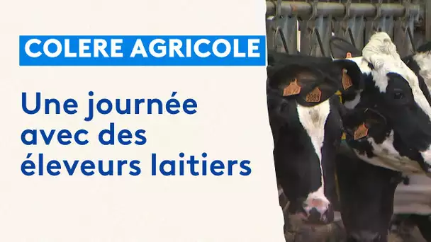 La journée d'éleveurs laitiers, un travail à plein temps