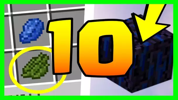 LE SAVIEZ VOUS ? 10 SECRETS SUR LE LAPIS LAZULI MINECRAFT