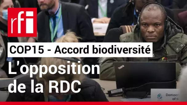 COP15 : pourquoi la RDC a refusé l'un accord sur la biodiversité adopté à Montréal • RFI