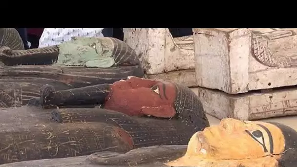 Egypte : des trésors mis au jour dans la célèbre nécropole de Saqqara.