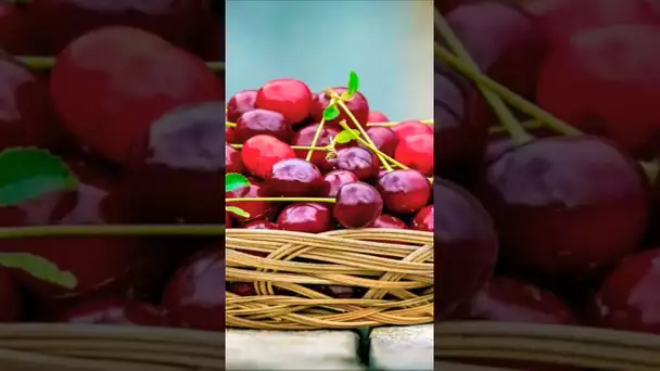 Bienfaits des cerises sur la santé