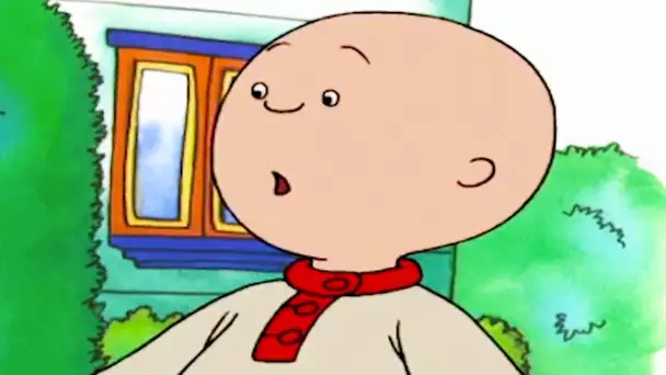 Caillou Part en Promenade Tout Seul | Caillou en Français