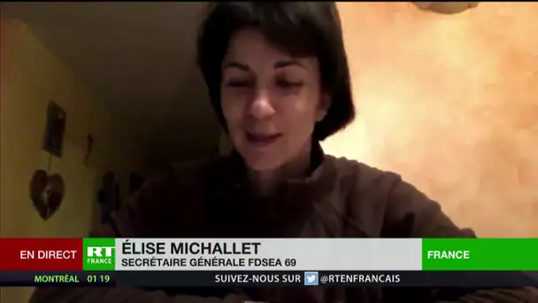 Menu sans viande à Lyon : «C’est aberrant», estime Elise Michallet