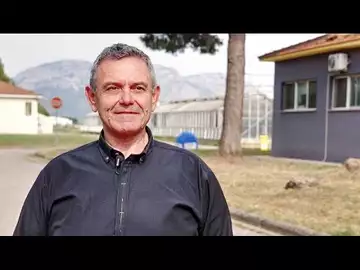 Costas Batargias : "Quand un écosystème est perturbé, il devient déséquilibré"