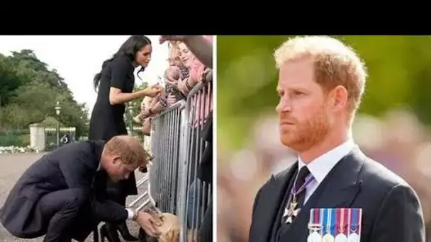 Un doux cliché montre le moment où Harry s'est tourné vers le Labrador pour se réconforter pendant l