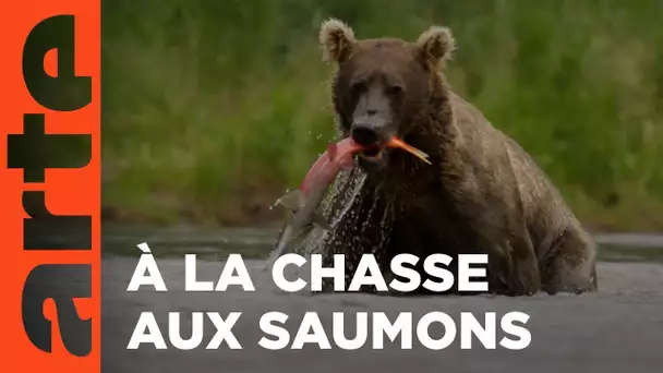 Dans les royaumes de l'eau | Une planète en partage | ARTE Familiy