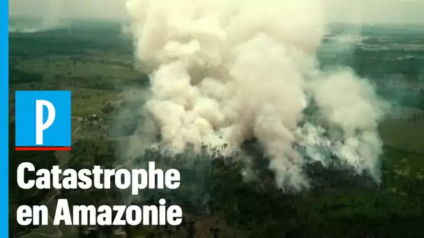 Incendies en Amazonie : le poumon vert de la planète part en fumée