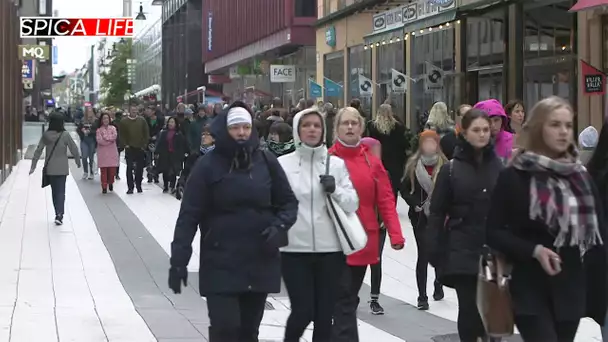 Frenchies à Stockholm :  nouvelle vie, nouveau chapitre