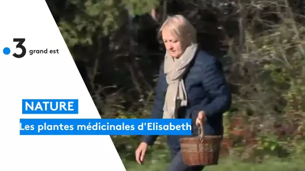 Les plantes médicinales d'Elisabeth Busser