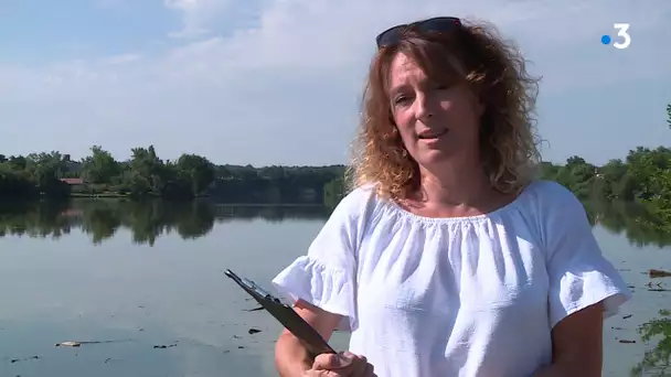 Coronavirus : les eaux de baignade du Tarn sous surveillance accrue comme à Aiguelèze