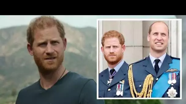 Le prince Harry snobe son rôle royal avant de s'en prendre à sa famille pour manque de soutien