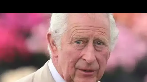 La nouvelle formation royale du prince Charles dévoilée alors que le futur roi planifie un boulevers