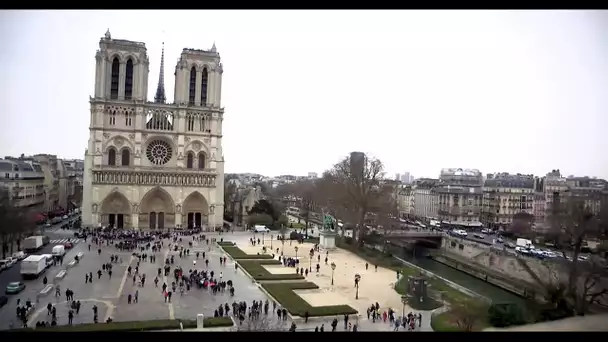 Tout en haut de Notre-Dame de Paris