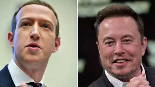 Un combat de MMA entre Elon Musk et Mark Zuckerberg ?