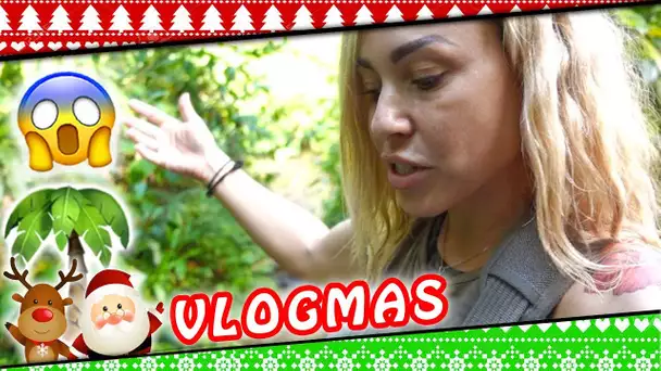 VLOGMAS 8 : Vraiment Perdue dans la jungle 😱/ Vlog en Guadeloupe