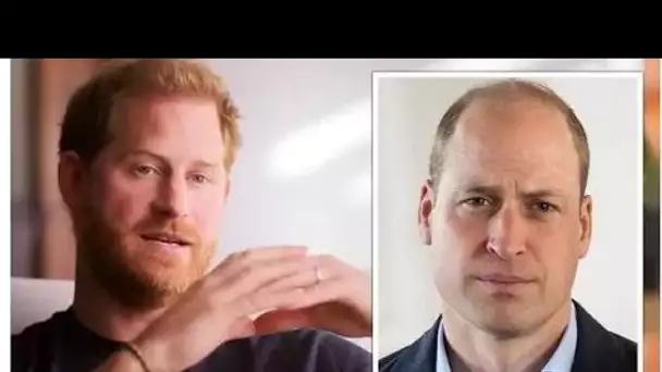 La faille royale explose alors que le prince Harry affirme "qu'ils étaient heureux de mentir" pour "