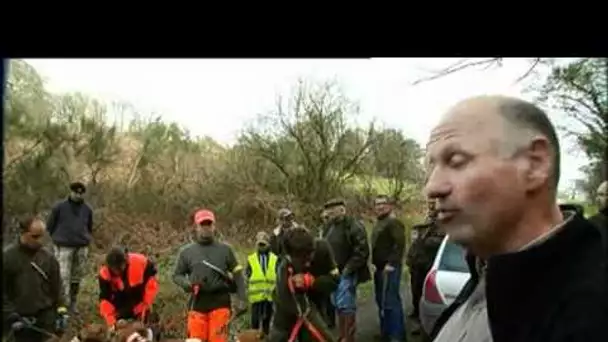 Le brevet de chasse pour des meutes de chiens