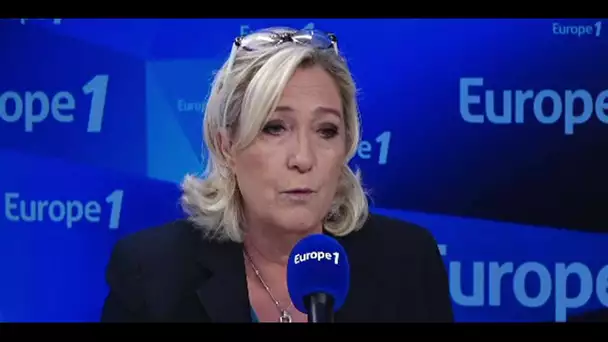 Marine Le Pen soutient la manifestation des "gilets jaunes" : "Si les Champs-Élysées sont interdi…