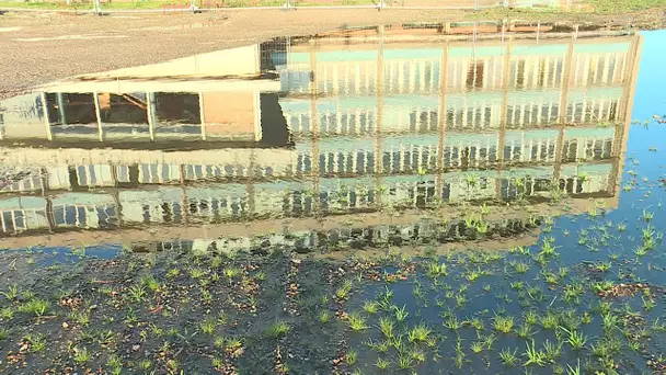 Sainte-Adresse (76) : 3 projets en lice pour l'ancien site de l'école de la Marine Marchande