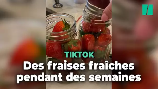 Comment conserver les fraises ? Une technique de conservation a convaincu ces utilisateurs de TikTok