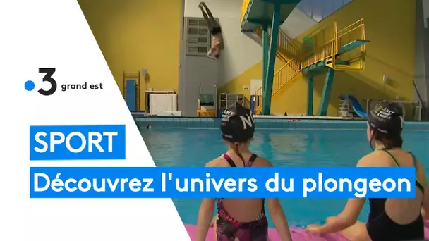 Nancy : découvrez un sport atypique, le plongeon