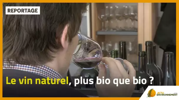 Le vin naturel, plus bio que bio ?