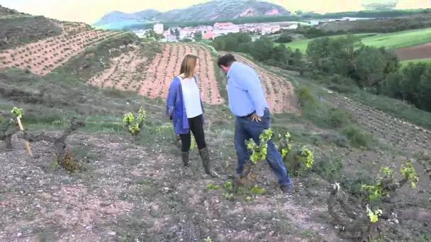Juan Carlos Sancha Gonzáles, propriétaire viticole dans La Rioja
