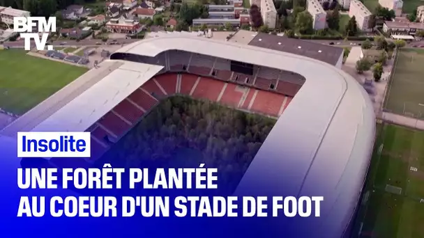 Un stade de football en Autriche se transforme en mini-forêt