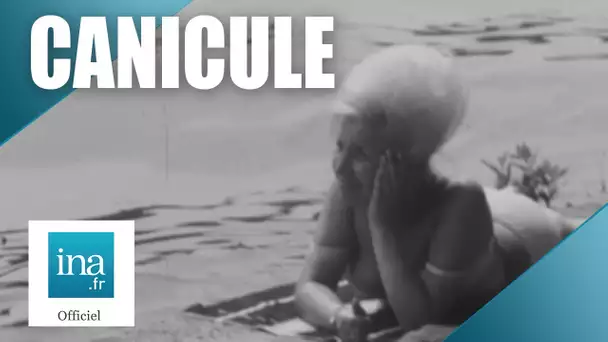 1964 : Canicule sur la France | Archive INA