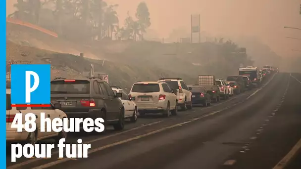Incendies en Australie : des milliers de personnes obligées de fuir en voiture