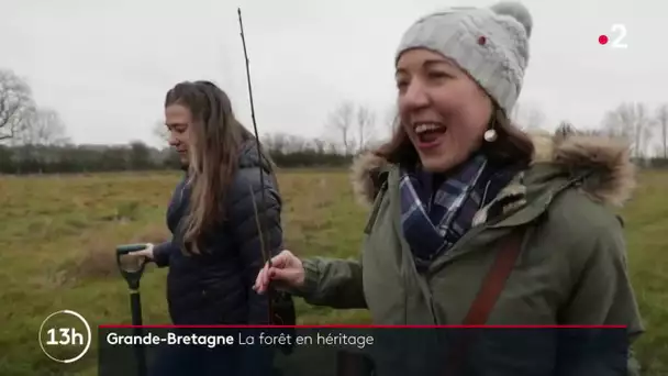 La forêt en héritage