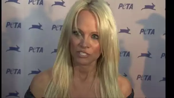 Pamela Anderson : son coup de foudre pour Jean-Luc Mélenchon