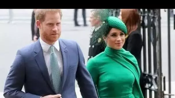 Meghan et Harry "insistent" pour utiliser les titres de Sussex pour "gagner de l'argent", selon un e